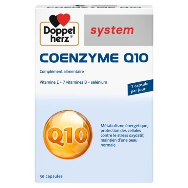 Ajouter un titre - 2025-01-22T121639.235